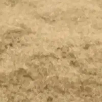 کاه گندم دیم سنقر