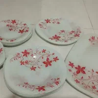 ظروف غذاخوری