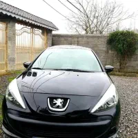 207 پاناروما مدل 1400 مشکی