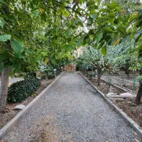 سرایداری برای باغ
