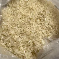برنج محلی عنبربو (شوشتری )