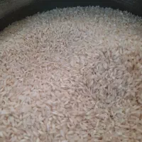 برنج عنبربو