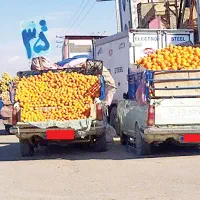 نیرو کار جوان