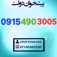 0915.490‌.3005 رند هزاری آخر