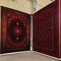فرش را گران نخرید ۱۵۰۰ شانه مانیا صدفی