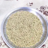 عدس و نخود کارزان