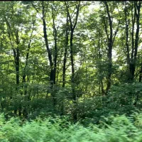 زمین-مناسب-برای-کافه-و-بوم-گردی