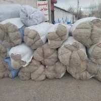 پشم حلاجی