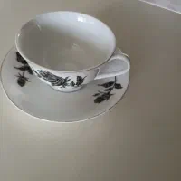 فنجان نلبعکی