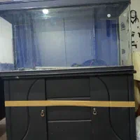 آکواریوم نو
