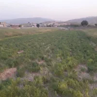 ی قطعه زمین درروستای قلعه جوق
