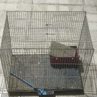 قفس پرنده