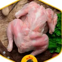 مرغ واکسینه تلف شده خفگی غذاسگ