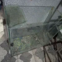 آکواریم بزرگ