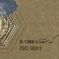 گم شدن سکه پارسیان