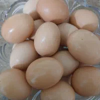 تخم مرغ بومی