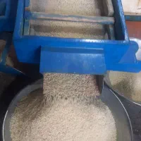 فروش برنج عنبر بو  گوراب