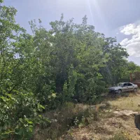 فروش-باغ
