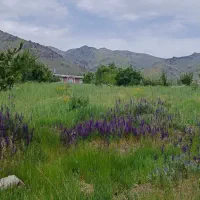 300 متر (12قصب) زمین مسکونی /سربیژن جیرفت