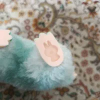 لبوبو|اسباب‌بازی بچه|قیدار, |دیوار
