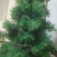 درخچه دو تیکه و پایه دار