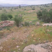 ملک