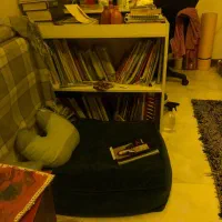 کتابخانه/قفسه کتاب