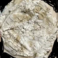 زیر دکمه مجلسی ابرو بادی