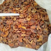 برگه|خوردنی و آشامیدنی|قم, باغ شریفی|دیوار