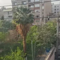رهن و اجاره منزل مسکونی طبقه دوم