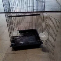 قفس پرنده