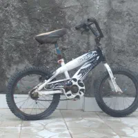 دوچرخه ۱۶ مارک رالی