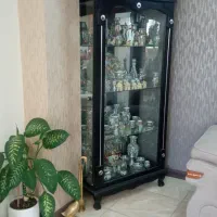 ویترین