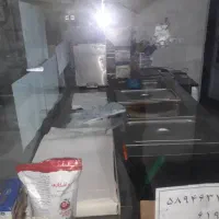دستگاه نیمه اتوماتیک فلافل و ساندویج در یک مجموعه