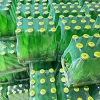 لیموناد شیشه به قیمت عمده