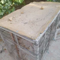 قفس کبوتر