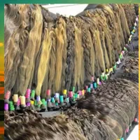 سالن زیبایی اراس تک مرکزخریدمو