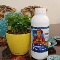 شکوفائی واکسن ضدسرمازدگی شکوفه های زیبا