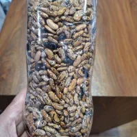 پاچ باقلا کاشتنی