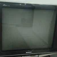 تلویزیون