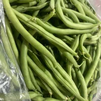لوبیا سبز کیاسر ترد و خوشمزه