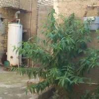 مشارکت-در-ساخت-کاشانی
