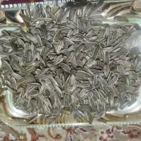 تخمه|خوردنی و آشامیدنی|بندر امام خمینی, |دیوار