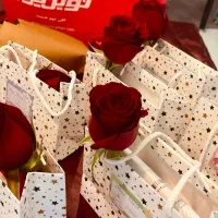 گرافیست حرفه ای با دو سال سابقه جهت مدرسه نیاوران