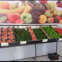 استند میوه فروشی