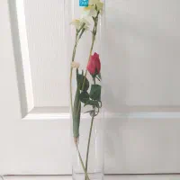 گلدان شیشه ای