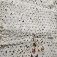 نان لواش و سبزی خوردن بسته بندی