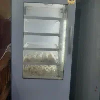 دستگاه جوجه کشی فاخته ۲۱۰ تایی