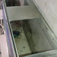 فروش اکواریوم