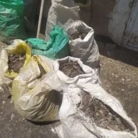 کودکفتر  200